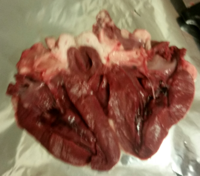 Heart dissection pic.jpg